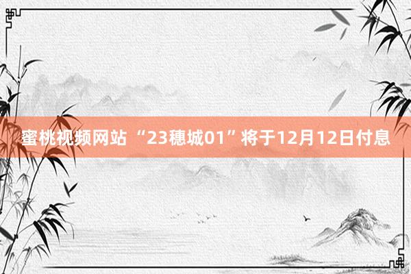 蜜桃视频网站 “23穗城01”将于12月12日付息